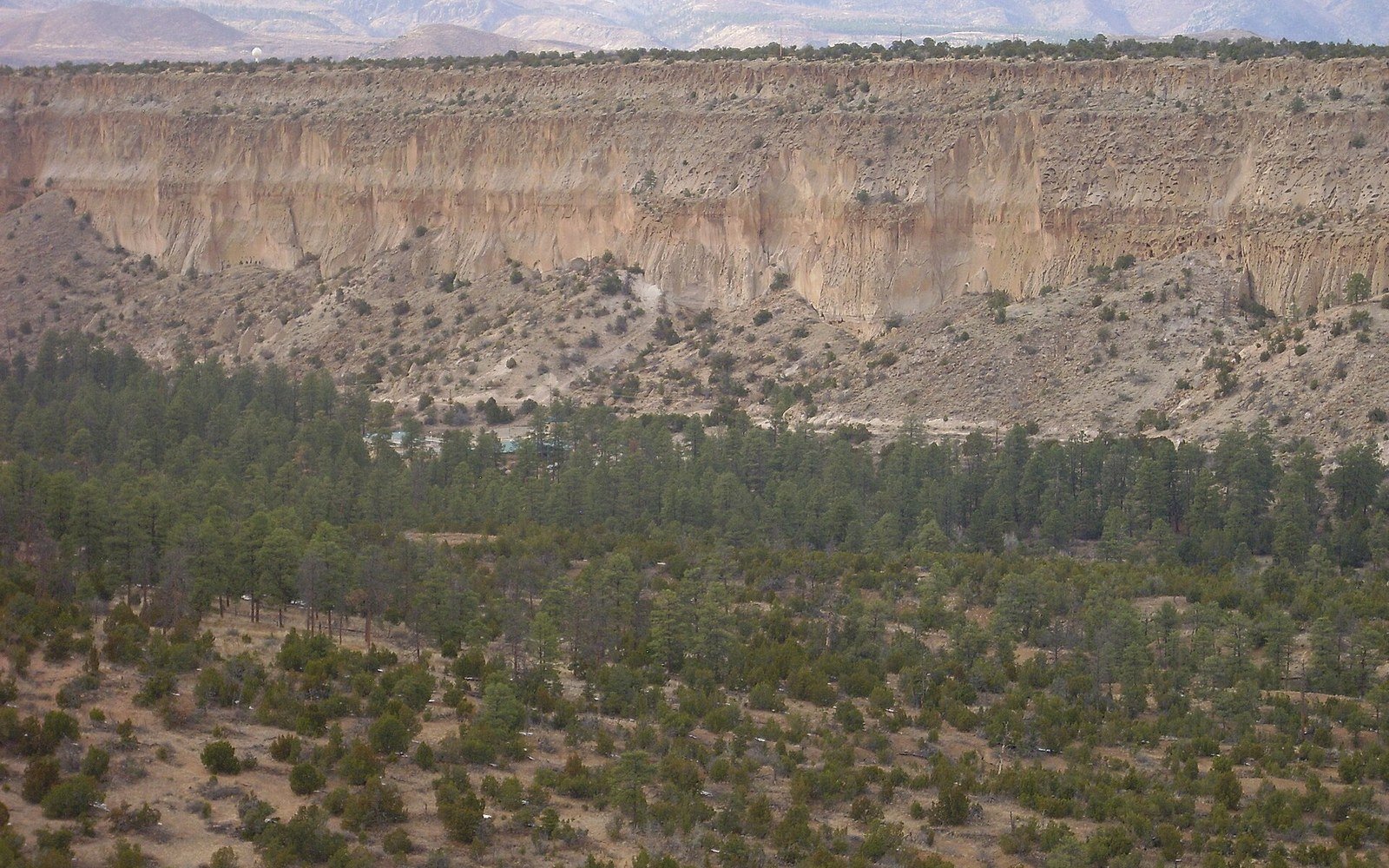Sheer tuff cliffs rise above a dense pine forest in a canyon landscape