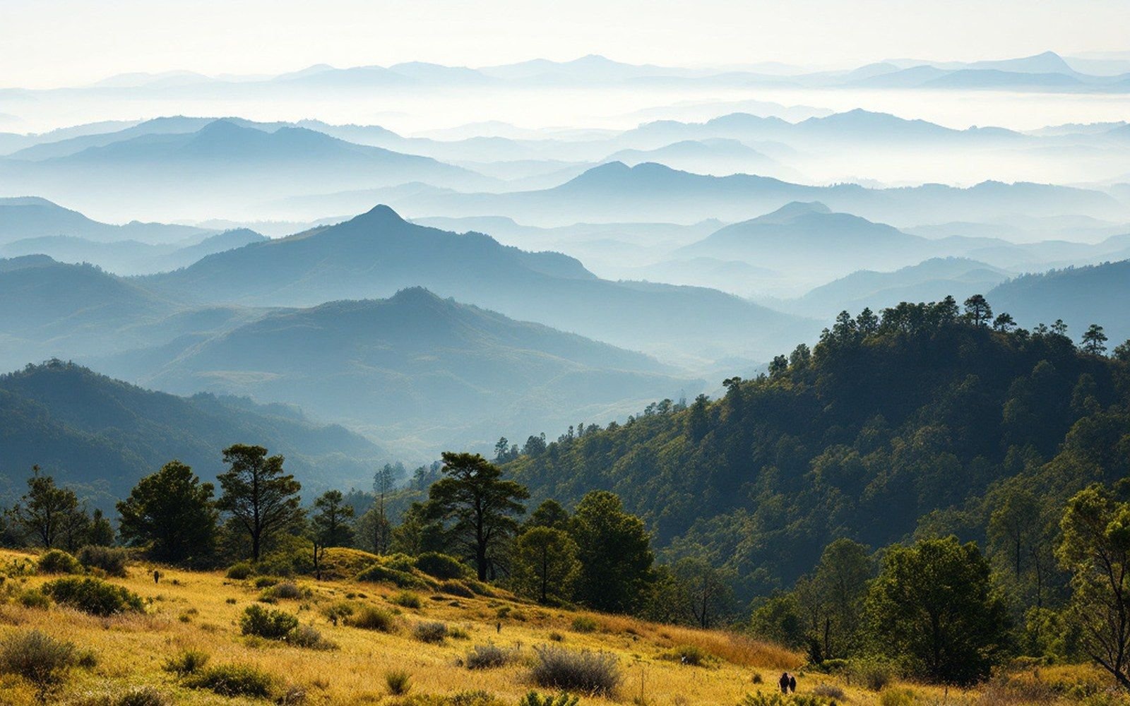 Layered mountain ridges fade into haze beyond a forested, grassy hillside